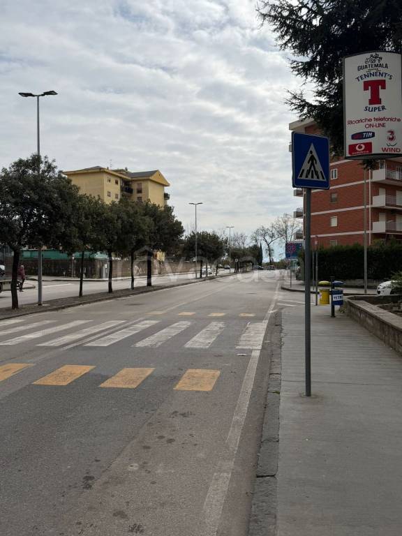 immagine annuncio 5 di 8