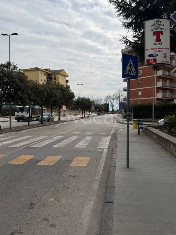 immagine annuncio 7 di 8