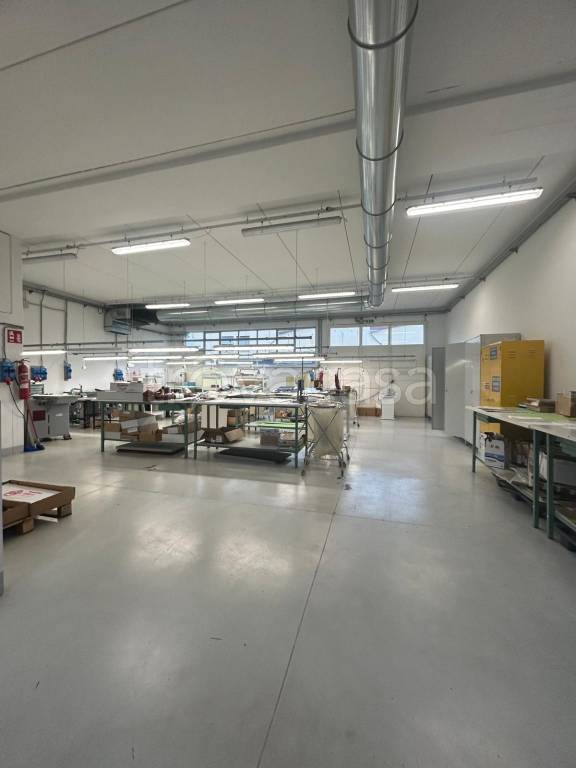 immagine annuncio 2 di 7