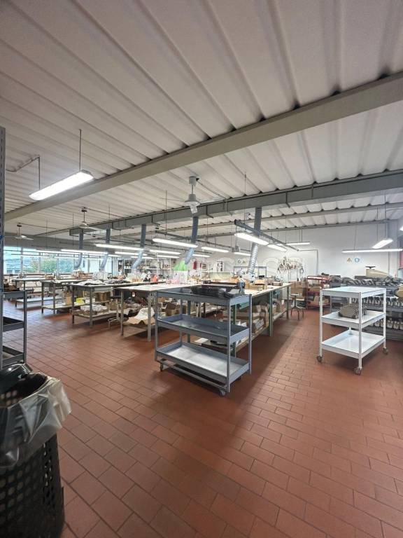 immagine annuncio 4 di 7