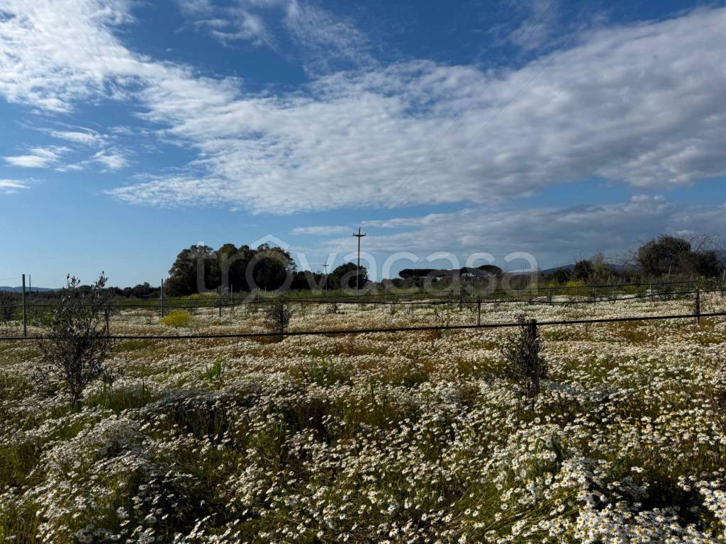 immagine annuncio 5 di 8