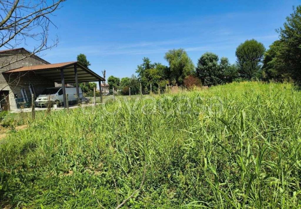 immagine annuncio 2 di 12