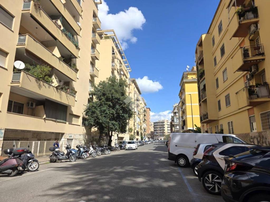 immagine annuncio 1 di 4