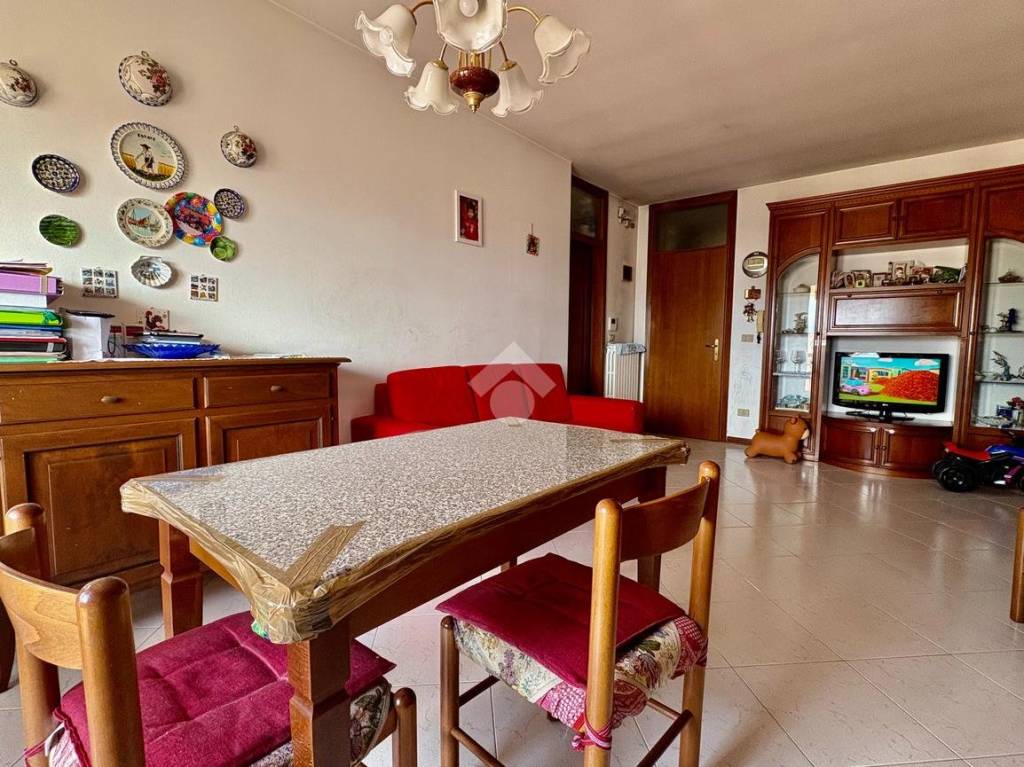 immagine annuncio 1 di 14