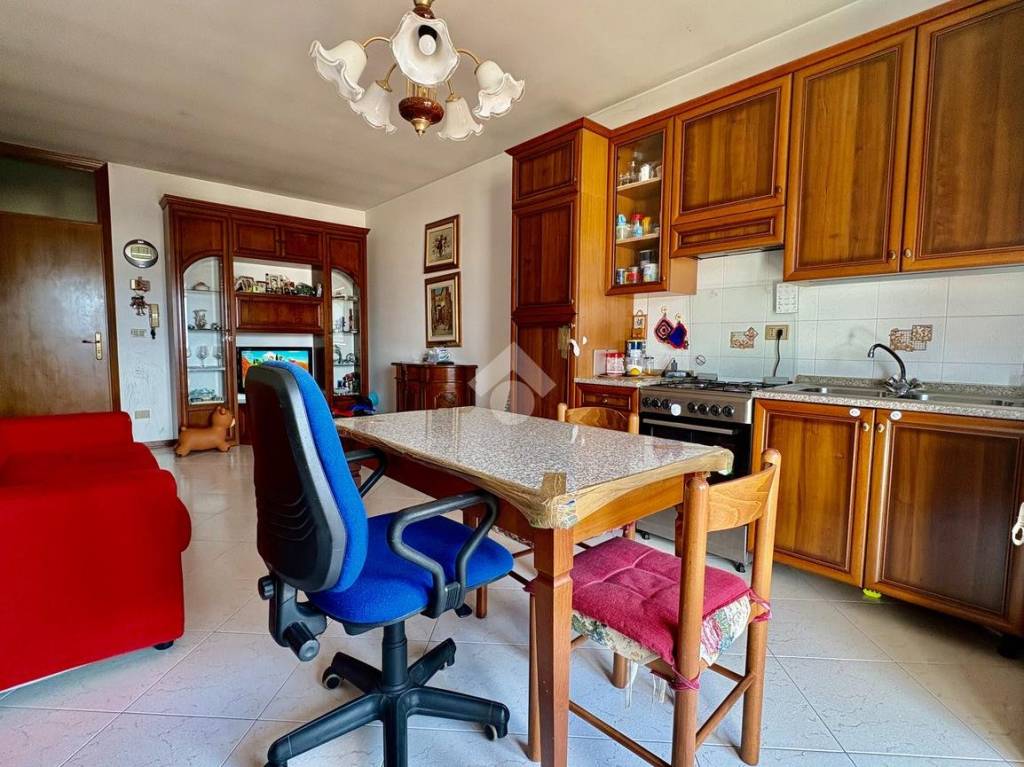 immagine annuncio 2 di 14