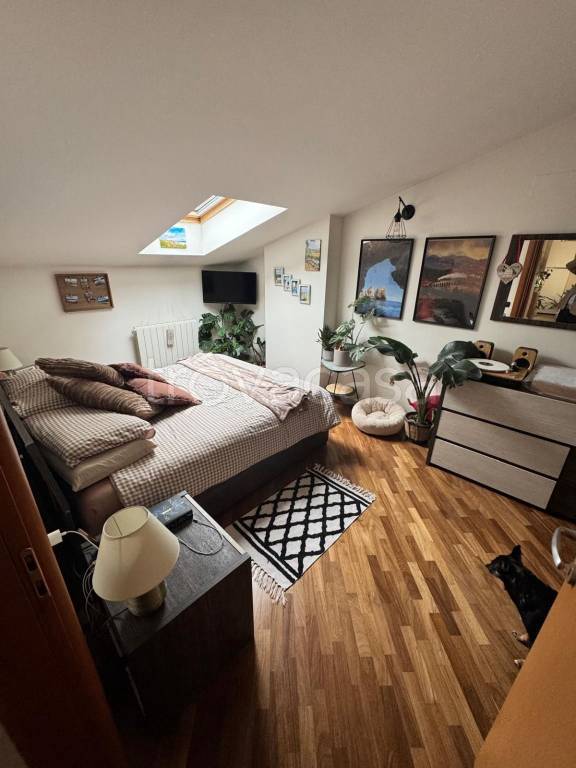 immagine annuncio 5 di 14