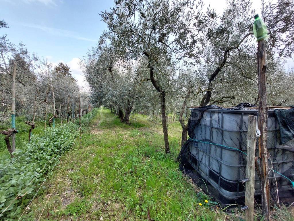 immagine annuncio 1 di 14