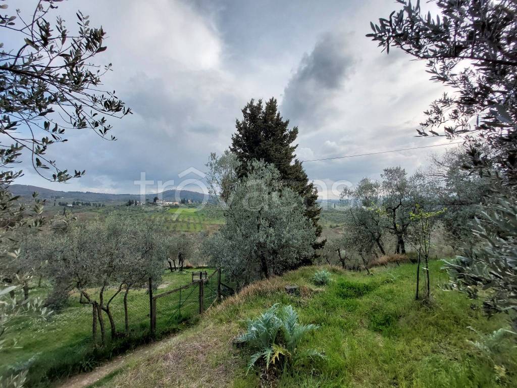 immagine annuncio 7 di 14