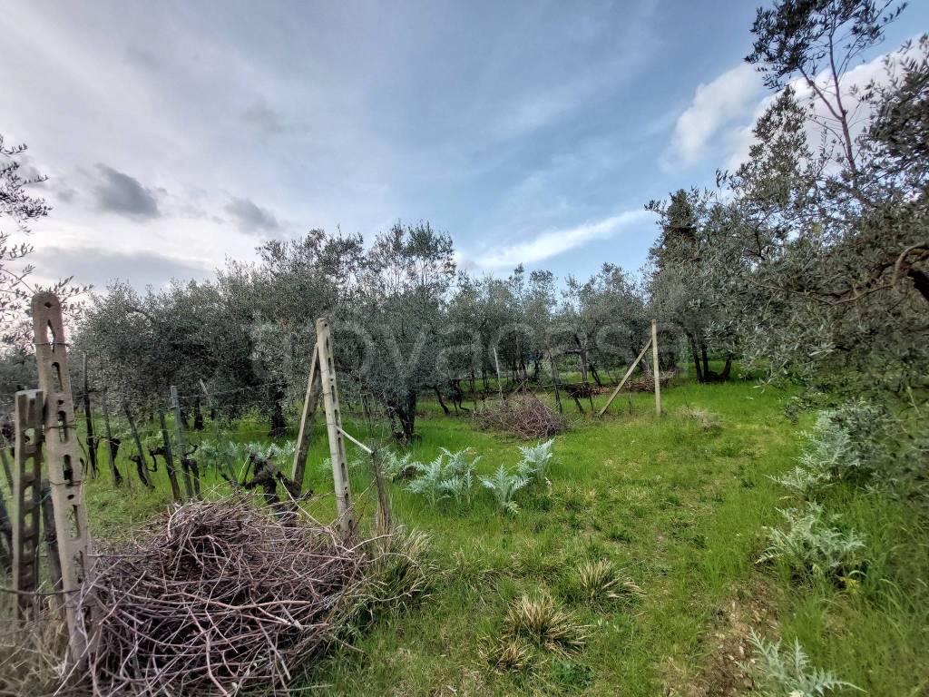 immagine annuncio 9 di 14