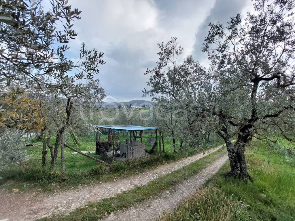 immagine annuncio 10 di 14