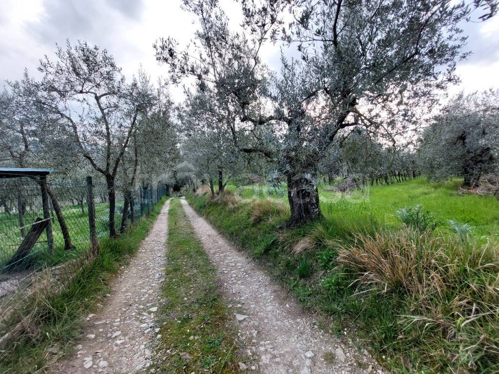 immagine annuncio 11 di 14