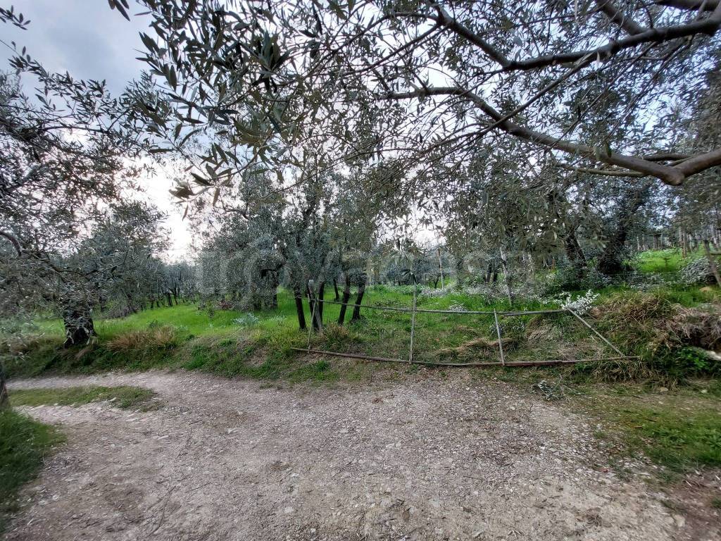 immagine annuncio 12 di 14