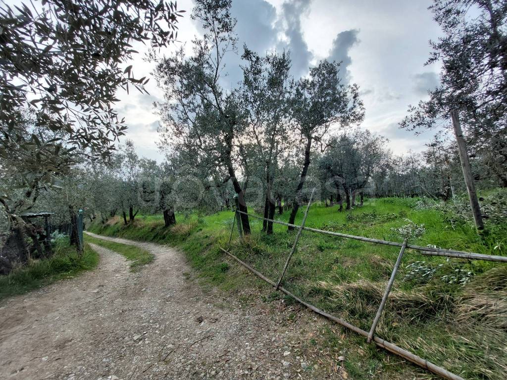 immagine annuncio 13 di 14