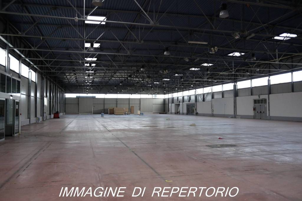 immagine annuncio 8 di 13