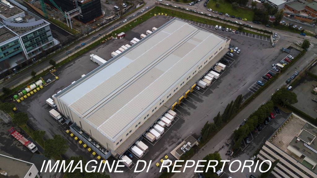 immagine annuncio 9 di 13