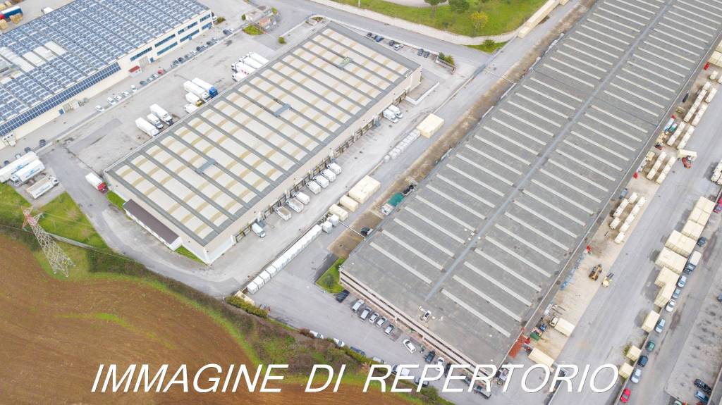 immagine annuncio 10 di 13