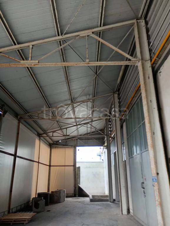 immagine annuncio 2 di 4