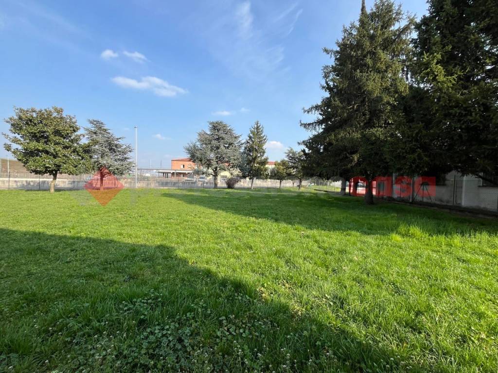 immagine annuncio 4 di 10