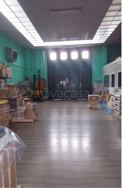 immagine annuncio 4 di 12