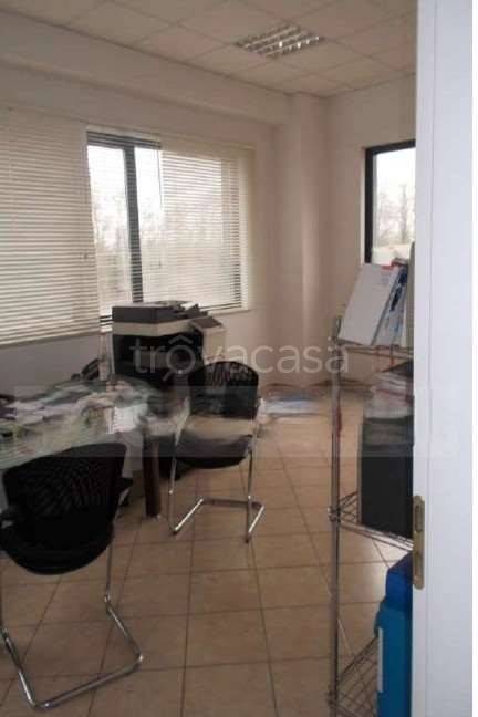 immagine annuncio 6 di 12