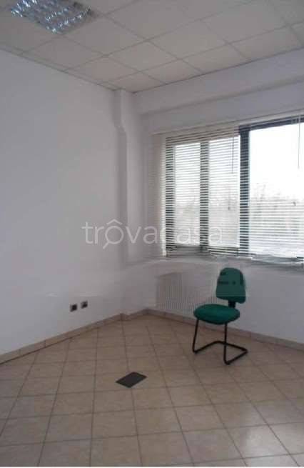 immagine annuncio 7 di 12