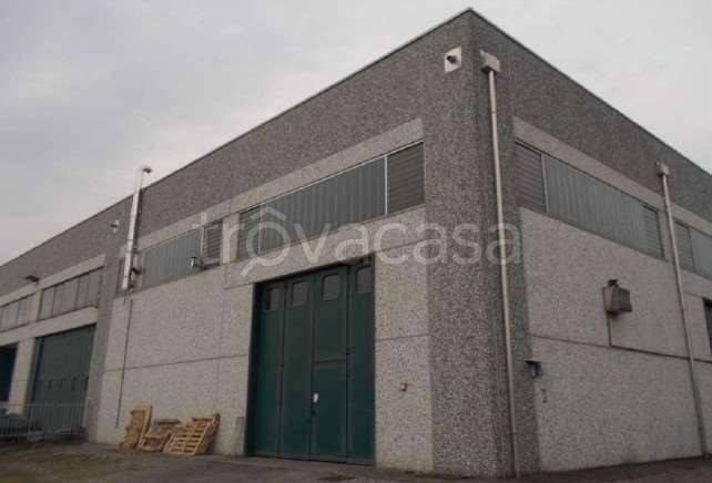 immagine annuncio 9 di 12