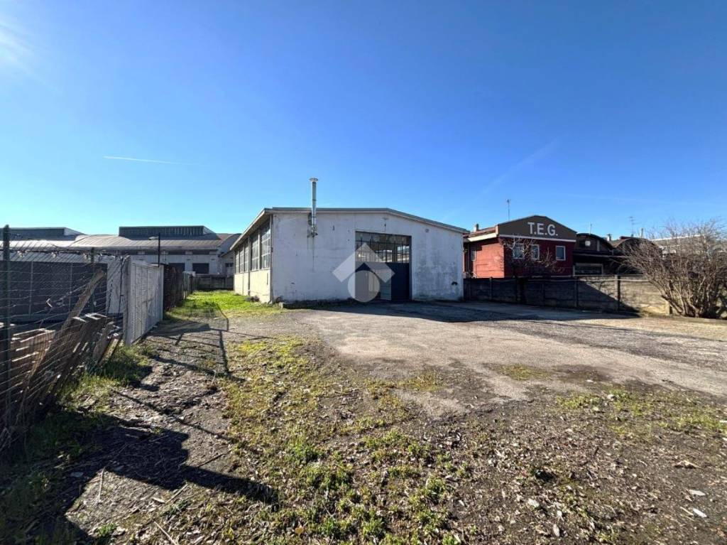 immagine annuncio 1 di 11