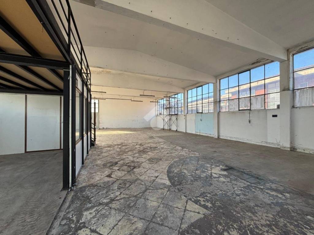 immagine annuncio 3 di 11