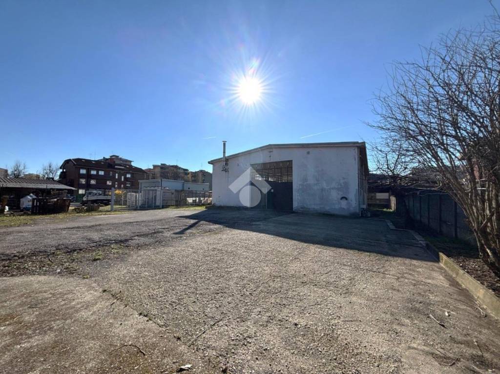 immagine annuncio 5 di 11