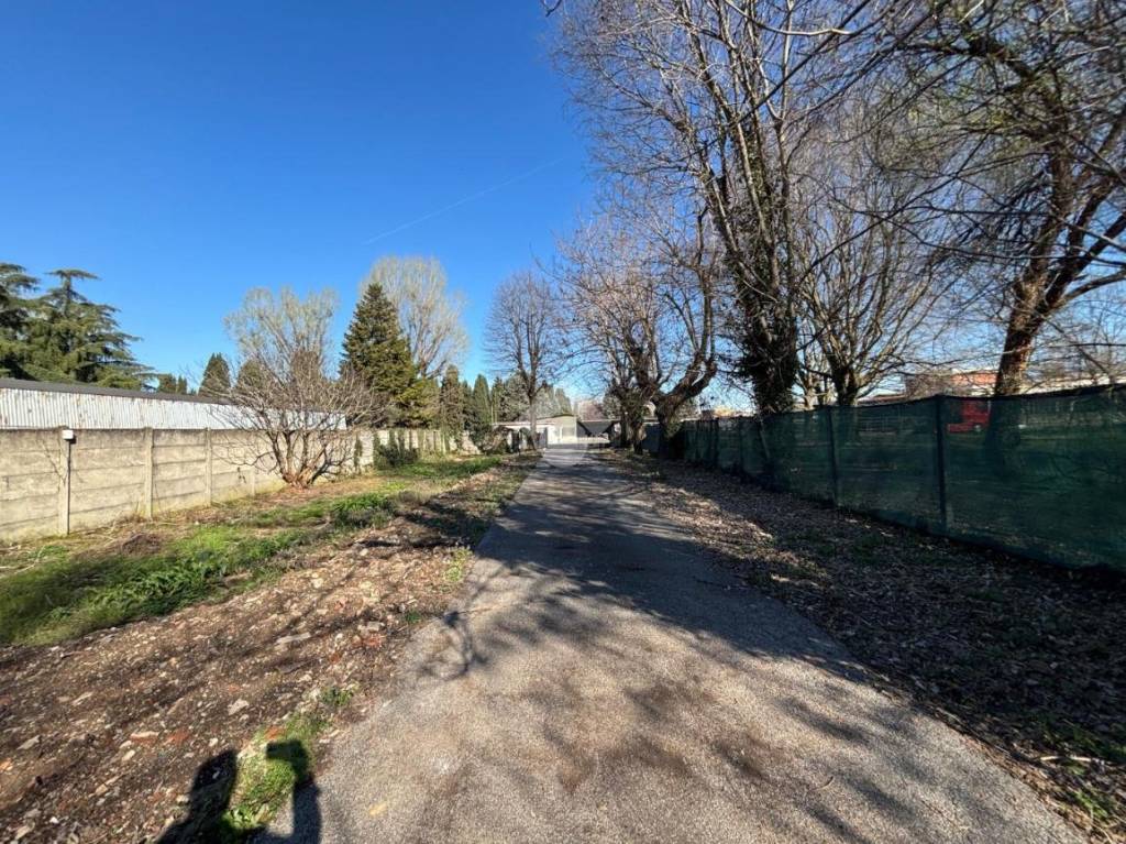 immagine annuncio 6 di 11