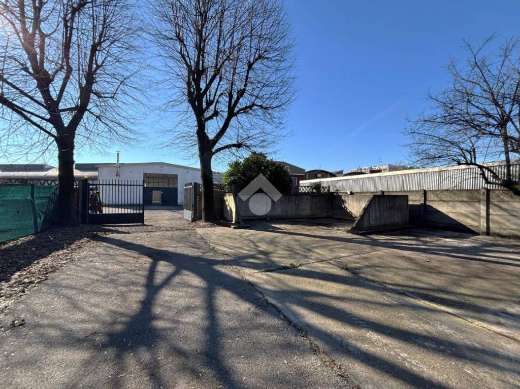 immagine annuncio 7 di 11