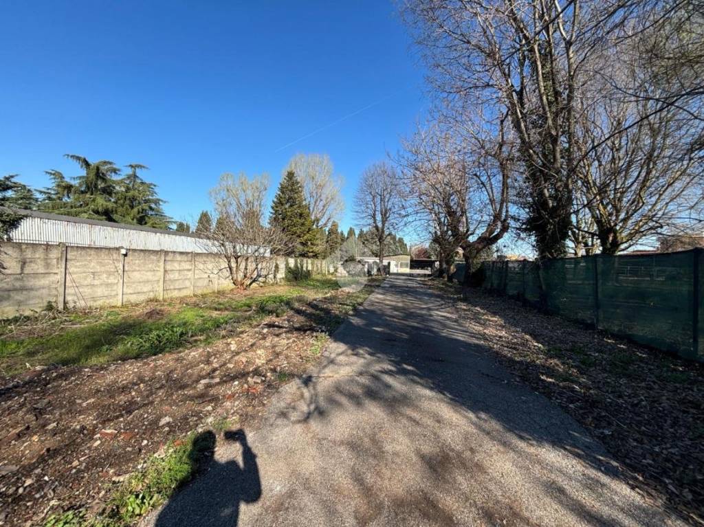 immagine annuncio 8 di 11