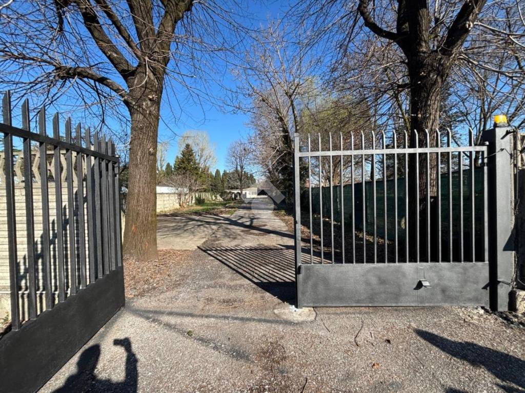 immagine annuncio 9 di 11