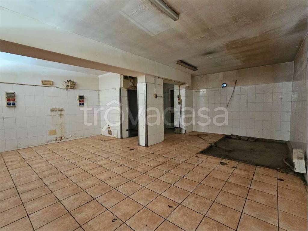 immagine annuncio 6 di 12