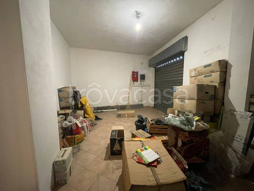 immagine annuncio 4 di 14