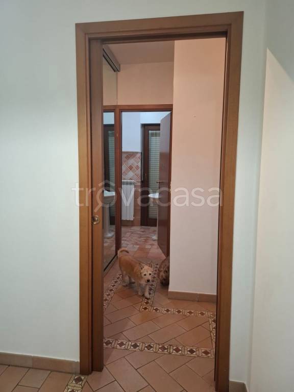 immagine annuncio 10 di 14