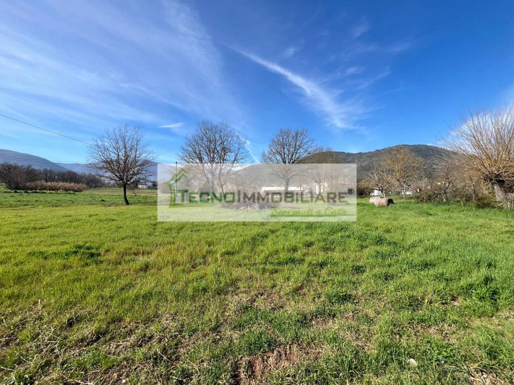 immagine annuncio 6 di 13