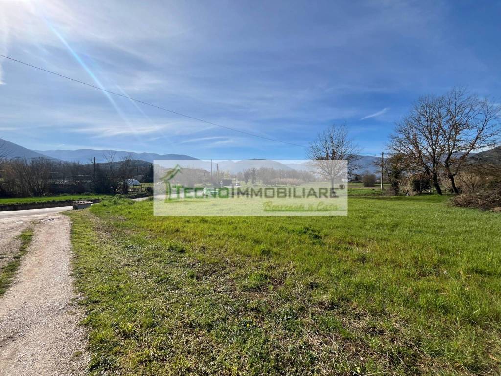 immagine annuncio 7 di 13