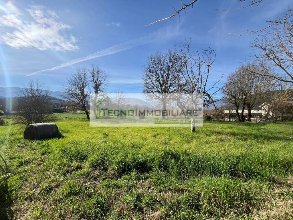 immagine annuncio 9 di 13