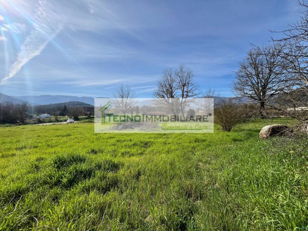 immagine annuncio 11 di 13