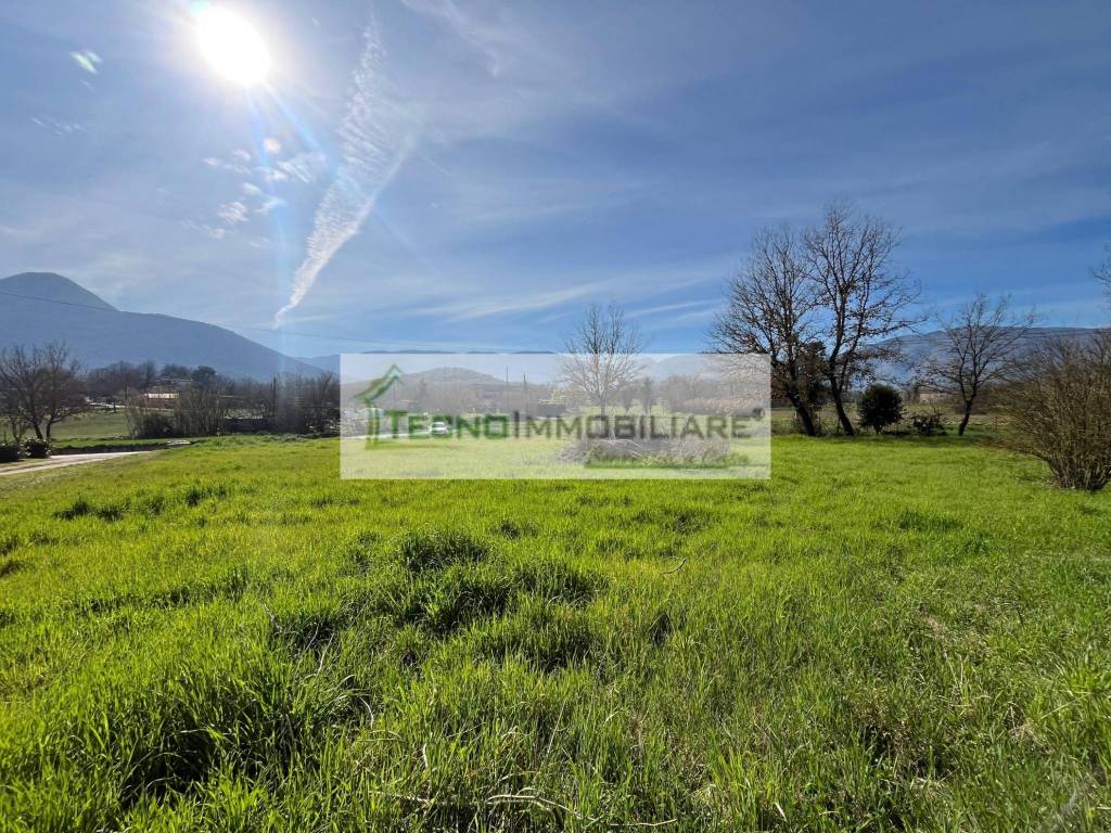 immagine annuncio 12 di 13