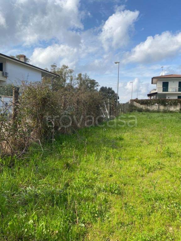 immagine annuncio 3 di 4