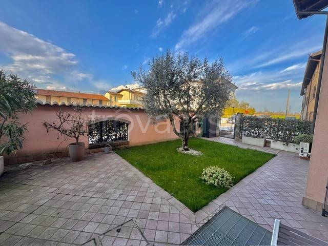 immagine annuncio 5 di 15