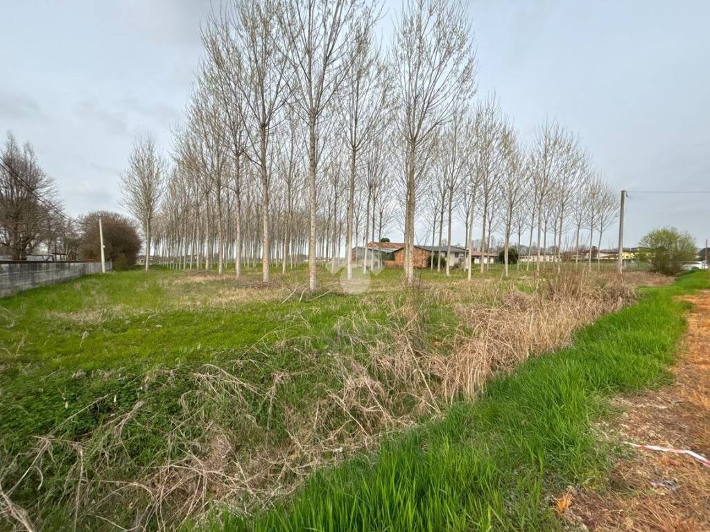 immagine annuncio 1 di 7