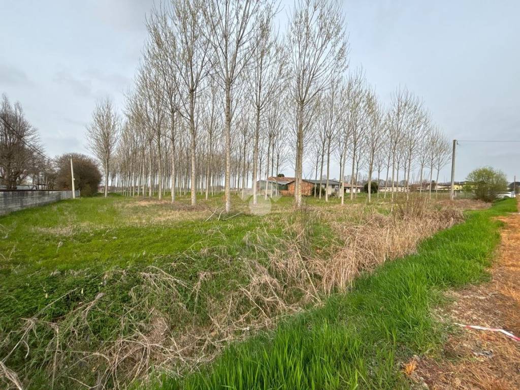 immagine annuncio 2 di 7