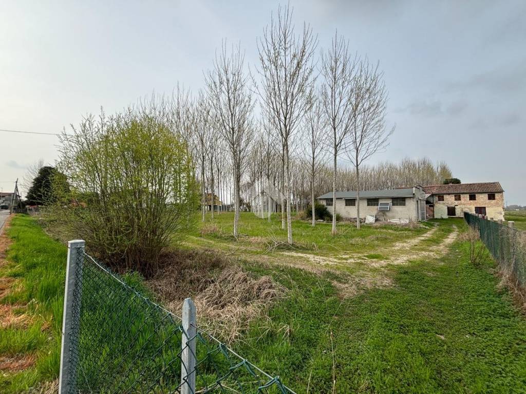 immagine annuncio 3 di 7