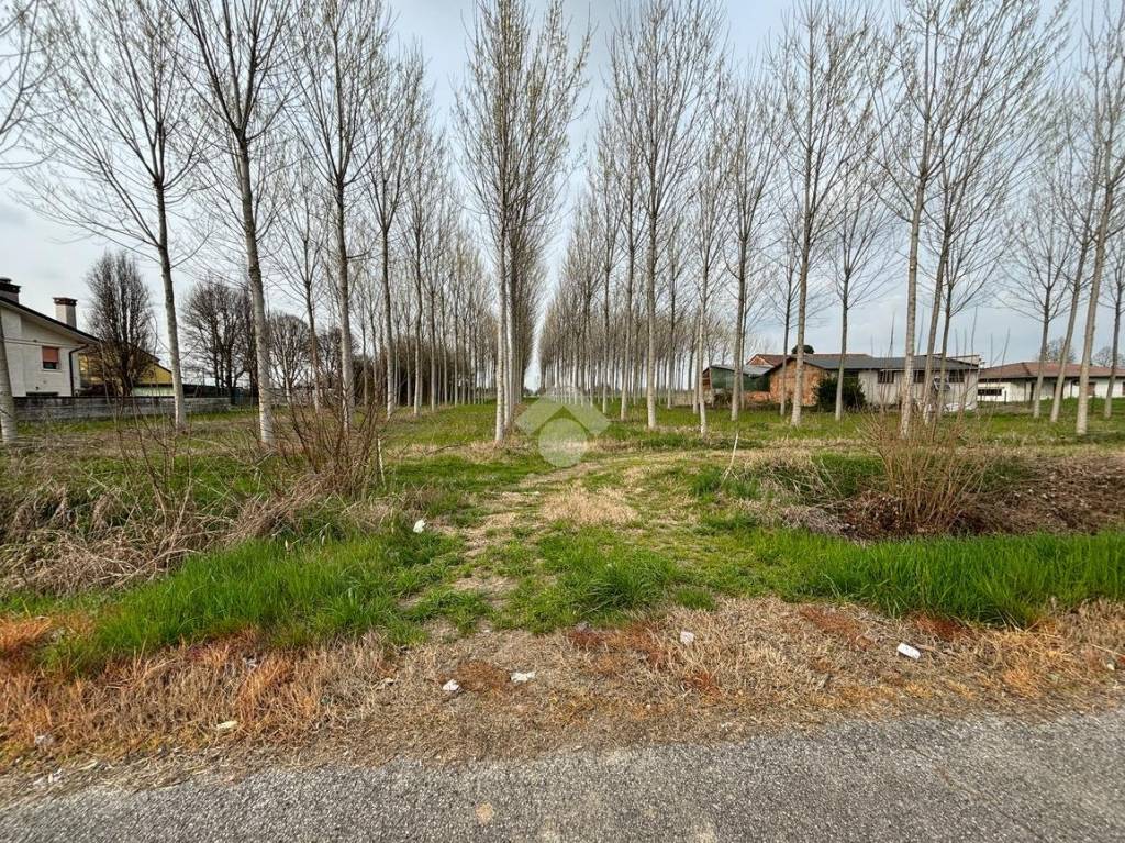 immagine annuncio 5 di 7