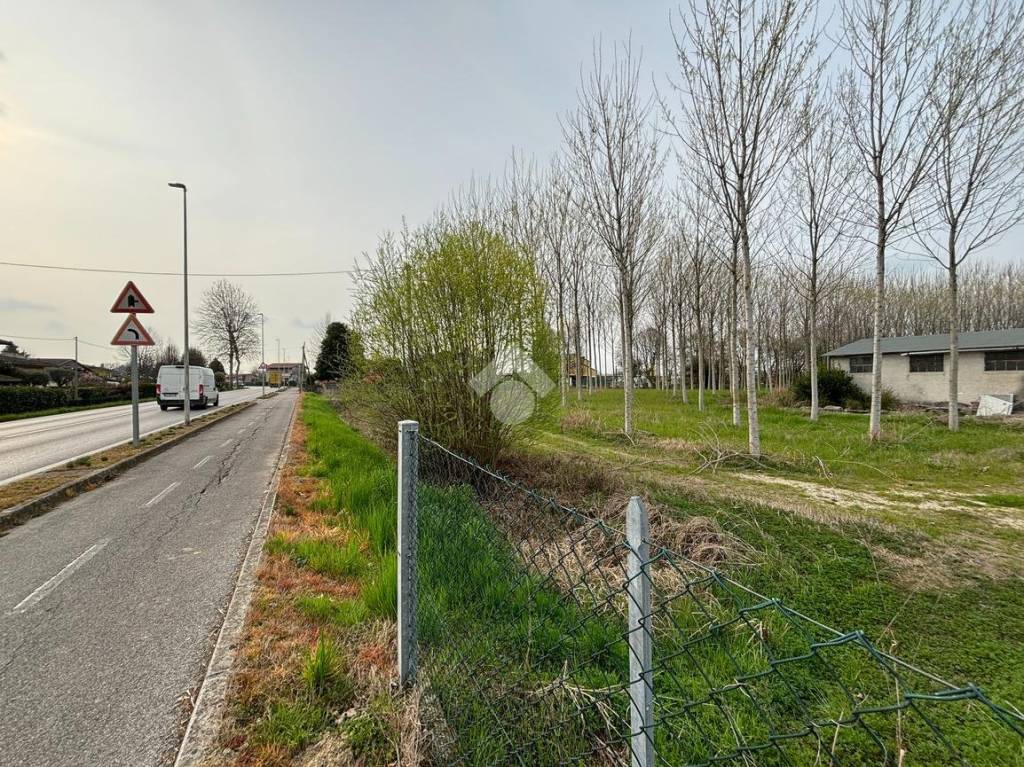 immagine annuncio 6 di 7