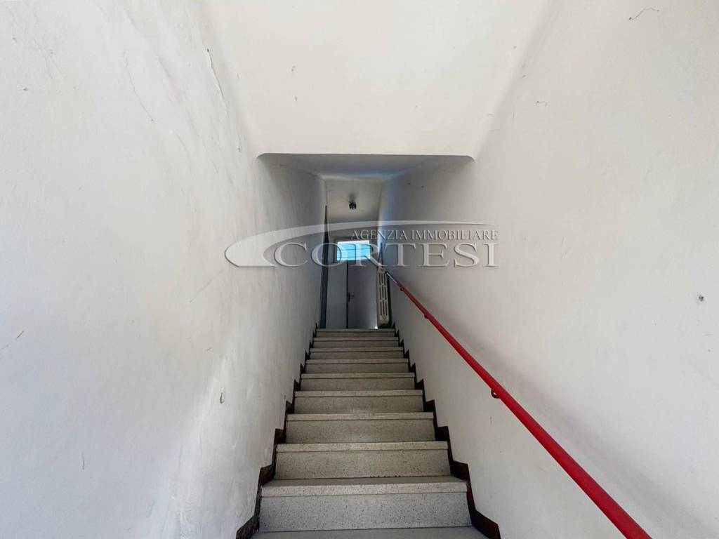 immagine annuncio 3 di 8