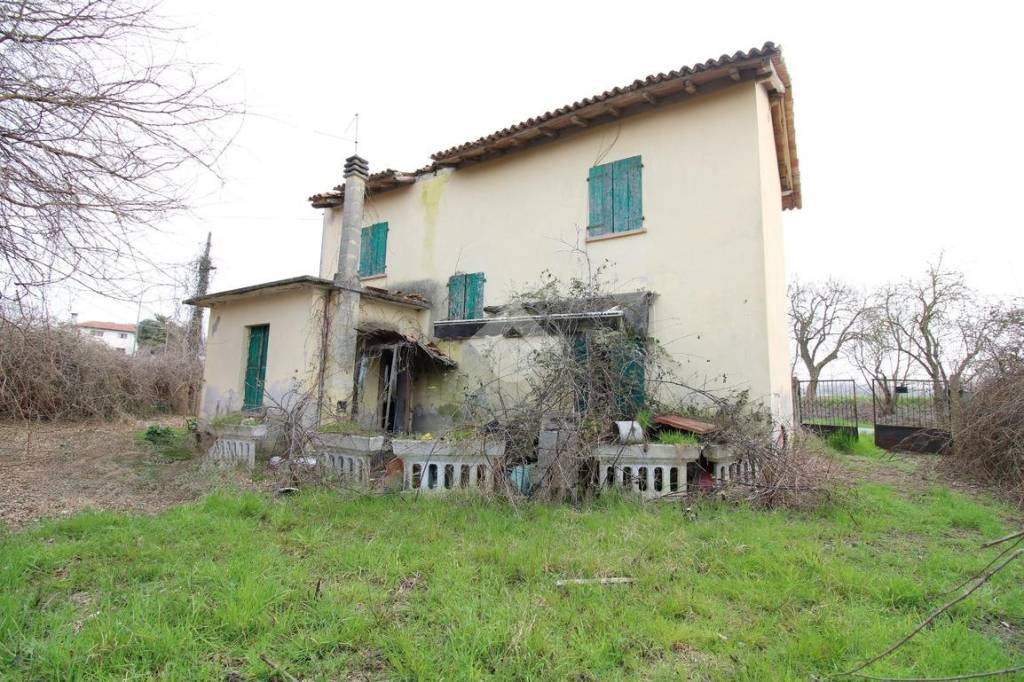 immagine annuncio 9 di 12